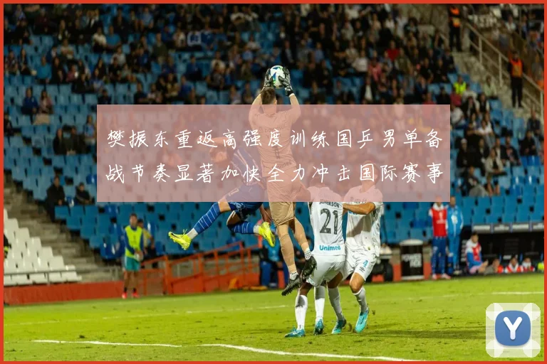 樊振东重返高强度训练国乒男单备战节奏显著加快全力冲击国际赛事